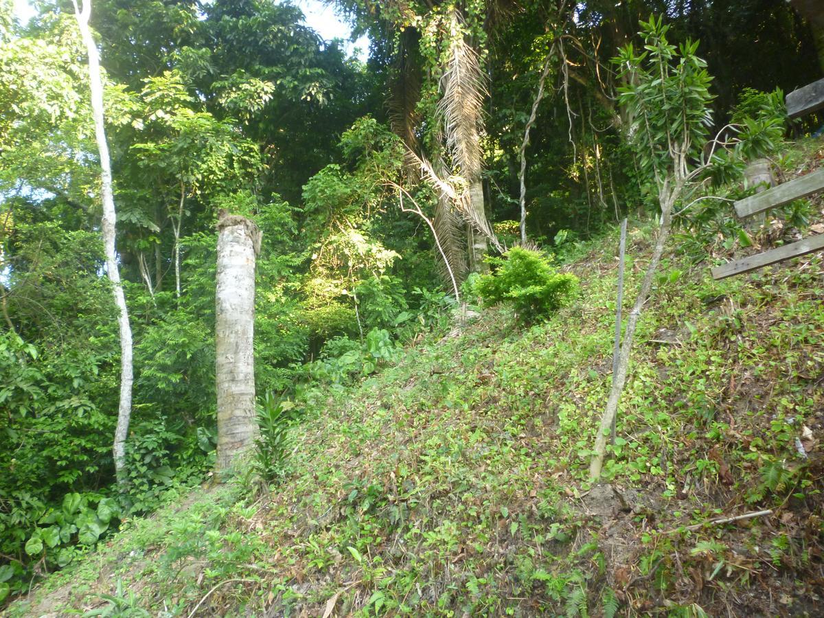 Casa de hóspedes Vale 1 *